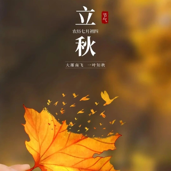 立秋｜夏未央 秋漸立