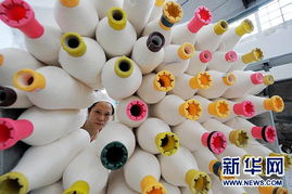 科技創(chuàng)新求發(fā)展 大豆纖維的綠色革命與未來(lái)之路